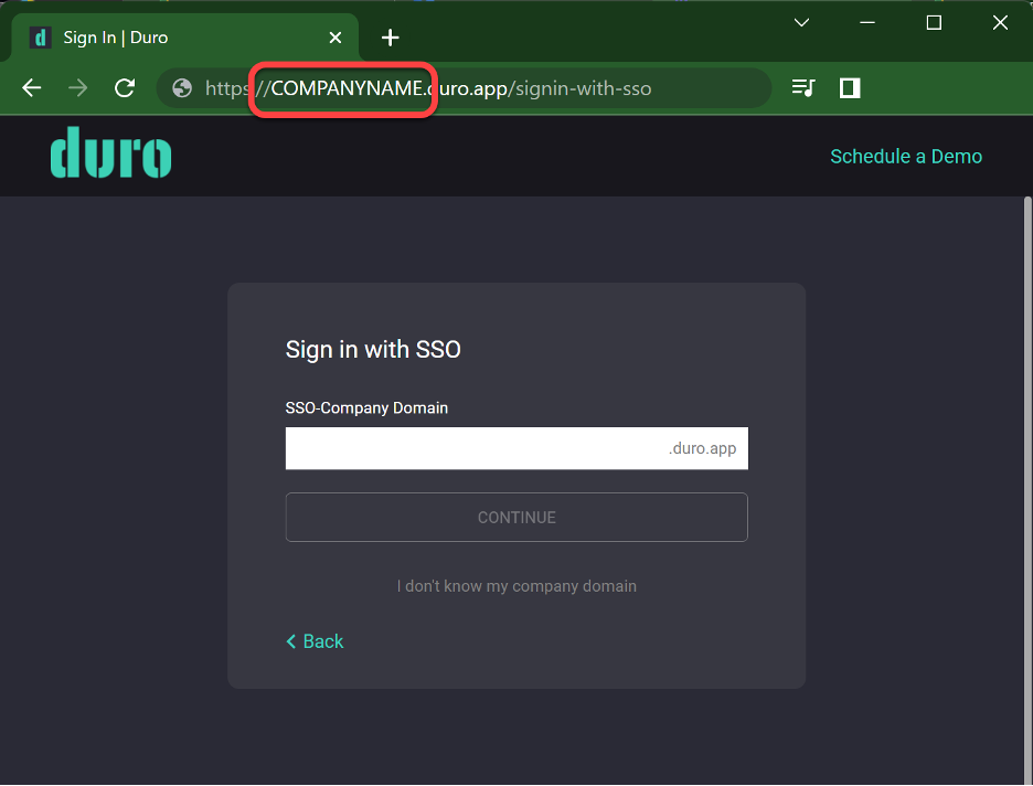 dedicated_hosting_url.png