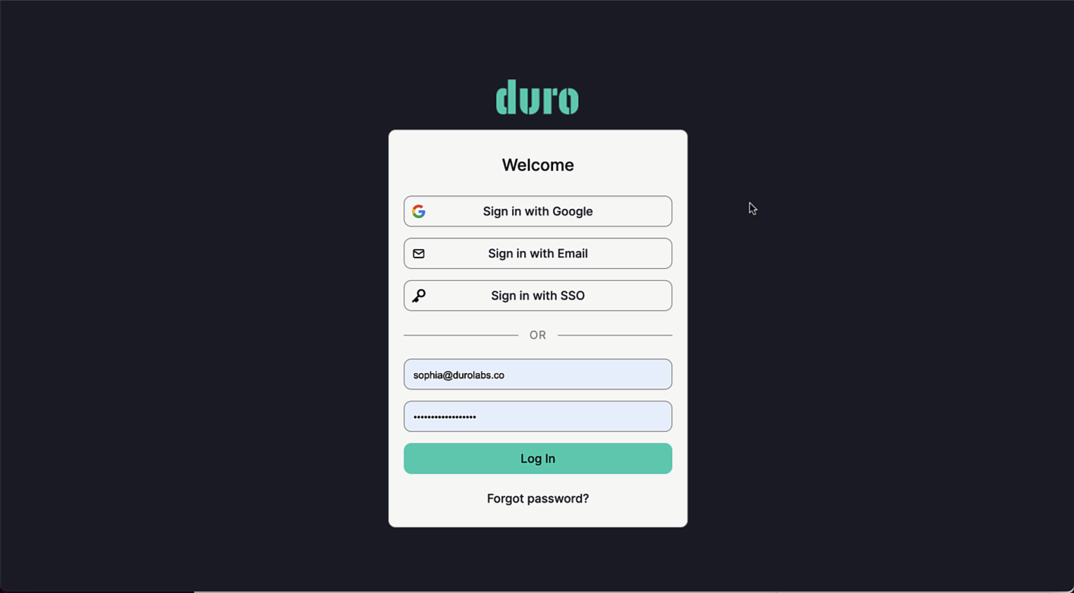 Logging_into_Duro_via_Google.gif